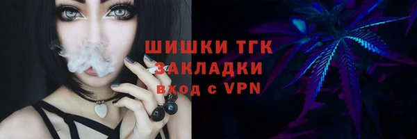 стаф Балахна