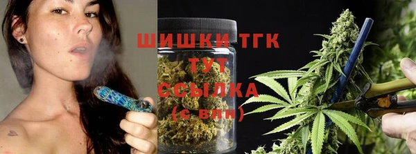 стаф Балахна