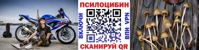 купить наркотики сайты  Лиски  мега   Галлюциногенные грибы Cubensis 
